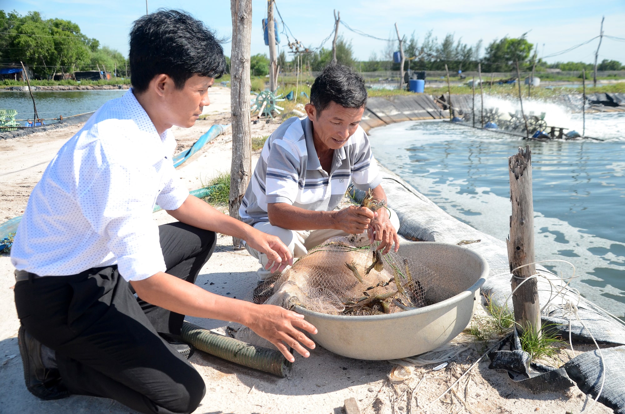 Ứng dụng chế phẩm sinh học trong nuôi trồng thủy sản - Vietstock Expo and Forum