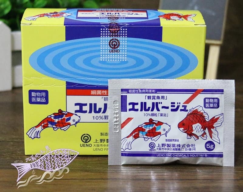 1 [Tìm Hiểu] Cách Dùng Tetracyclin Cho Cá Koi Đúng Cách