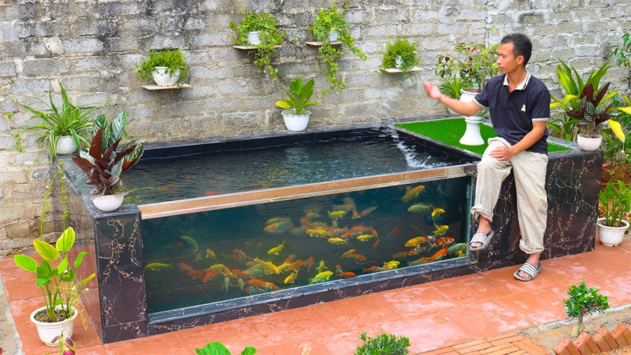 Hồ cá koi bằng kính – Cá Koi Hoàng Phi