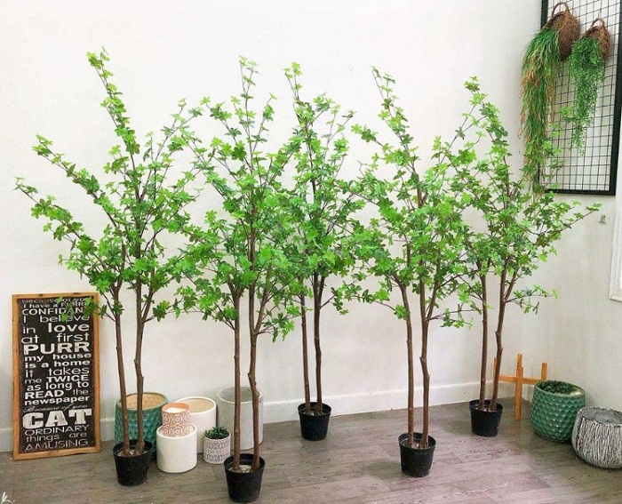 Top 7+ Mẫu cây giả 2m được săn lùng nhiều nhất trong 2023
