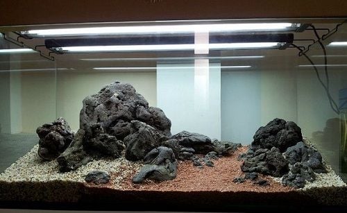 Top 9 loại đá dùng trang trí bể thủy sinh