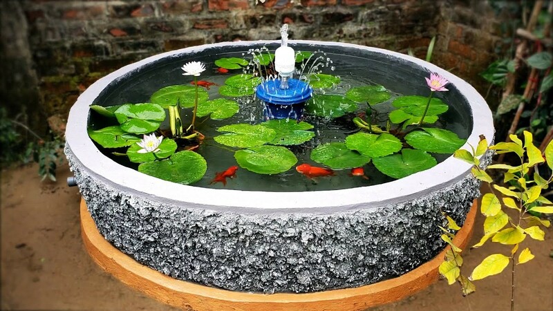 Hướng Dẫn Chi Tiết Cách Nuôi Cá Cảnh Ngoài Trời - Vi Sinh Cá Cảnh Aquarium  Care