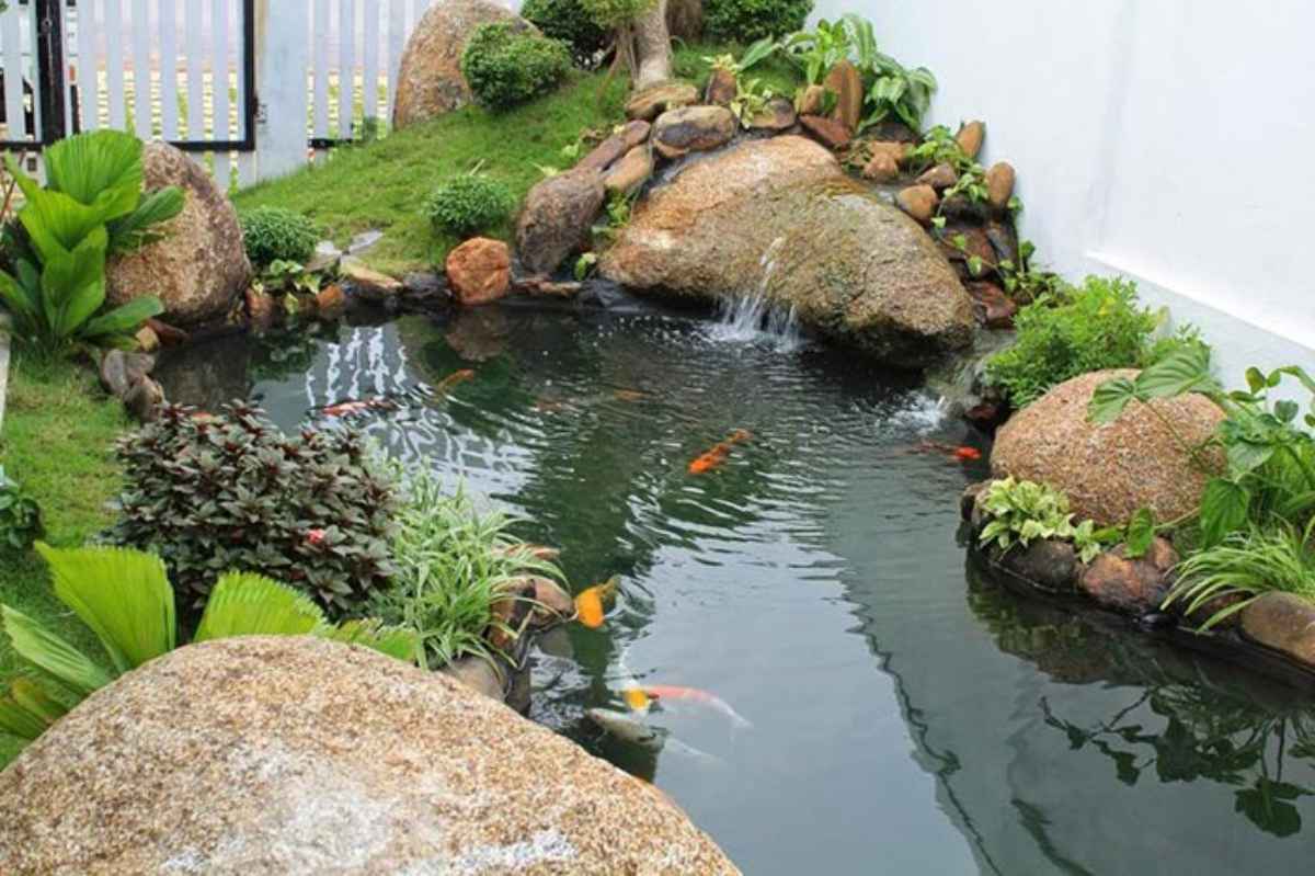 Hướng dẫn bắt đầu làm hồ thủy sinh ngoài trời: Cách xây dựng hồ thủy sinh  từ A đến Z - Đá Cuội Ninh Thuận