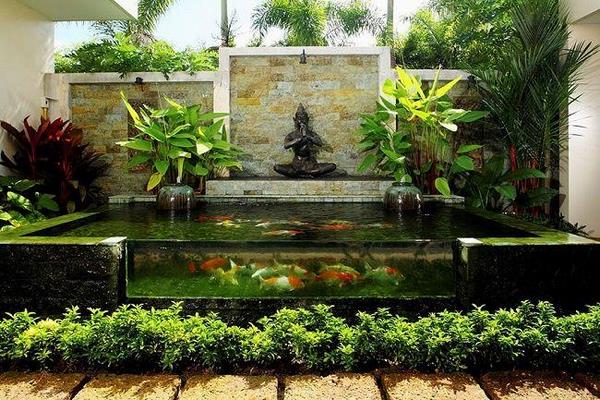 Tổng hợp cách làm bể thủy sinh ngoài trời và chăm sóc - Bể Cá Mạnh Tuấn
