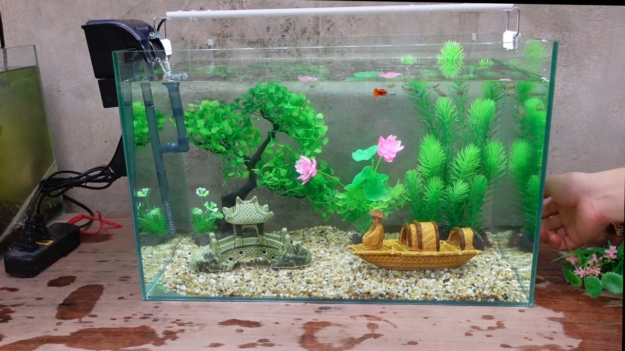 Set up bể cá 50 cm với cây nhựa đơn giản, đẹp và tiết kiệm, giá 630K