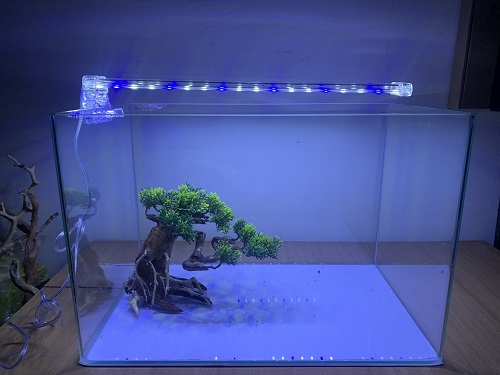 Hồ đúc 50cm bảo hành 12 tháng sử dụng.