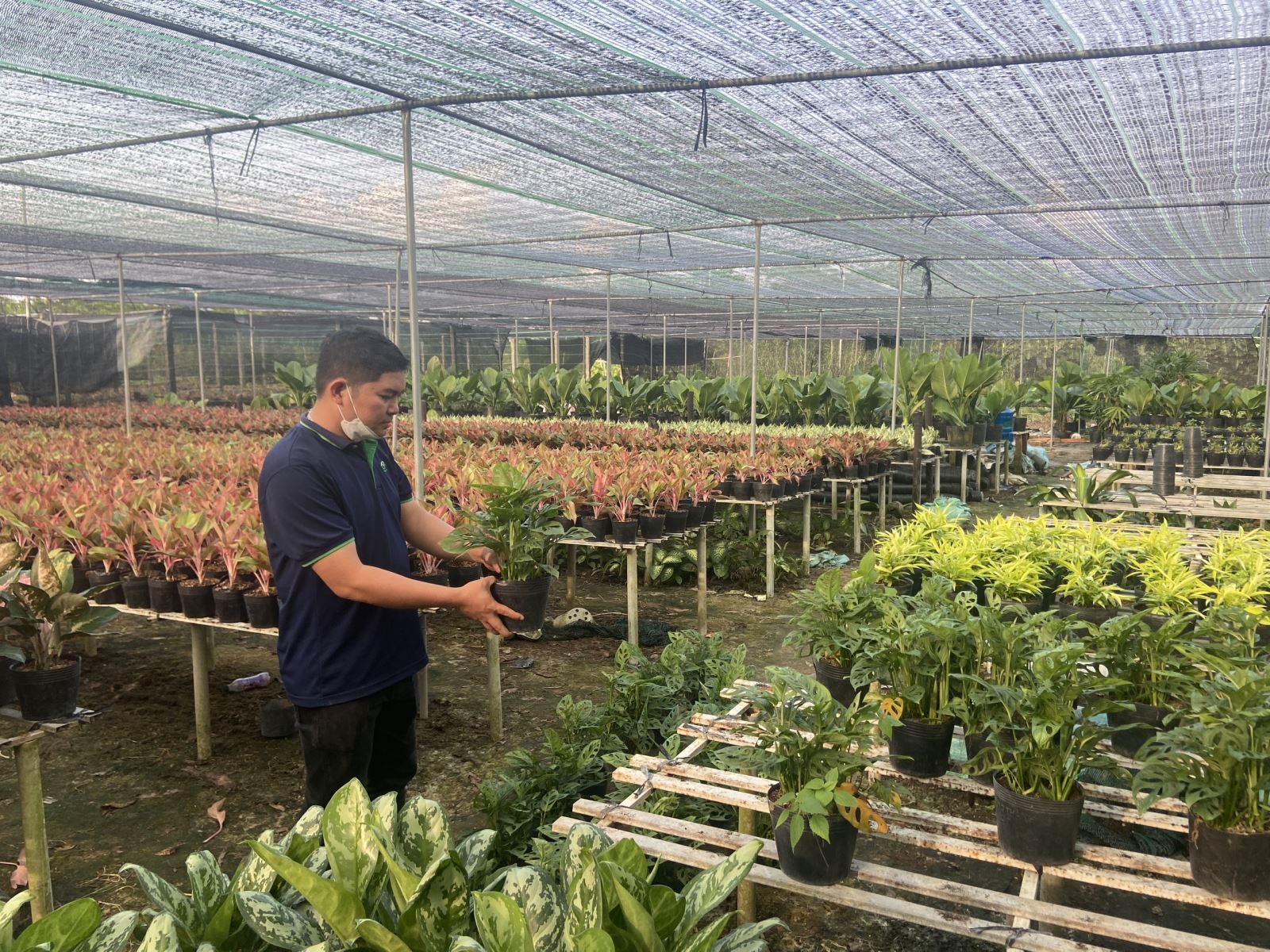 Tầm Nhìn Châu Á công tác tại vườn cây cảnh Sa-Đéc