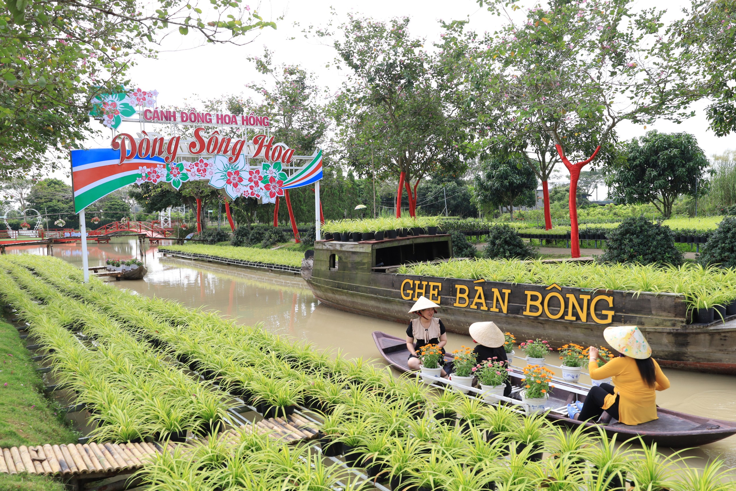 Về miền hoa, kiểng Sa Đéc