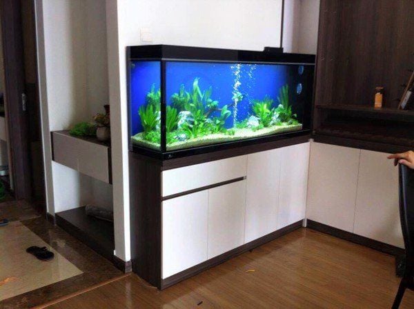 Kích thước bể cá cảnh tiêu chuẩn theo phong thủy