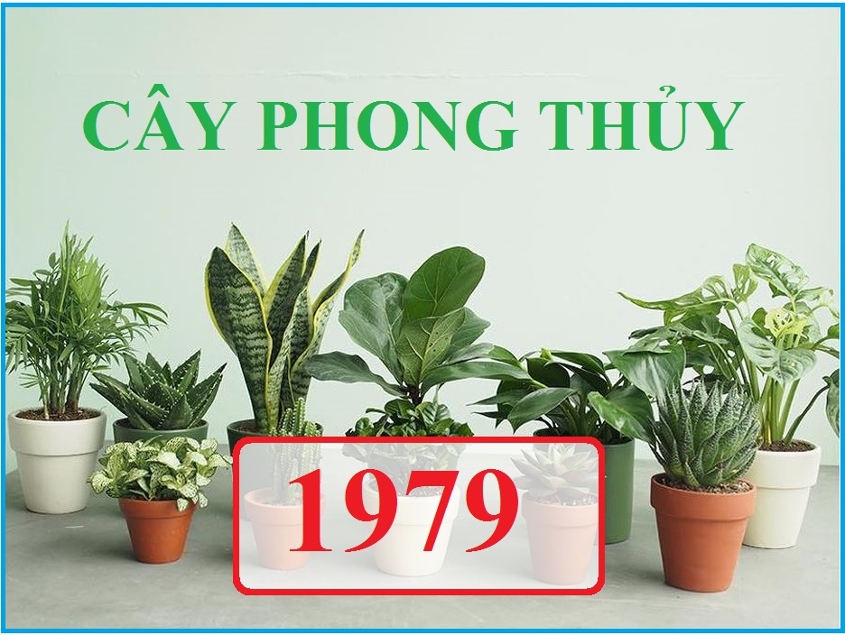 Tuổi Mùi 1979 Hợp Với Cây Gì? Khám Phá Những Loại Cây Phong Thủy Mang Lại  Tài Lộc