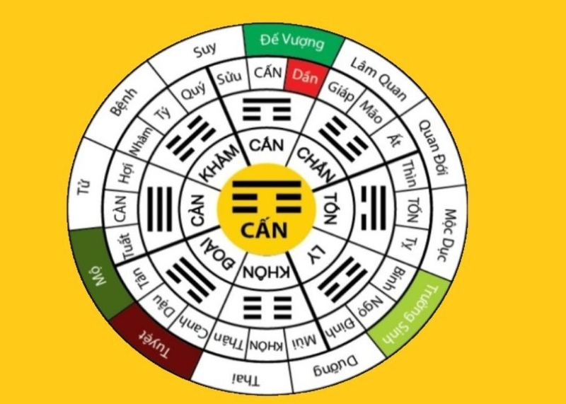 Người sinh năm 1992 có vận mệnh như thế nào? Tuổi nào hợp với họ? Những thông tin thú vị về tuổi Nhâm Thân 1992
