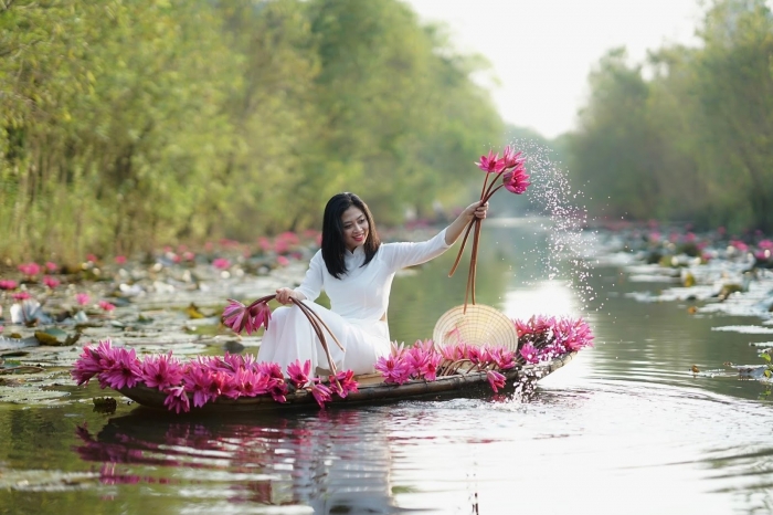 Nguồn gốc và ý nghĩa kỳ diệu của hoa sen 766818835