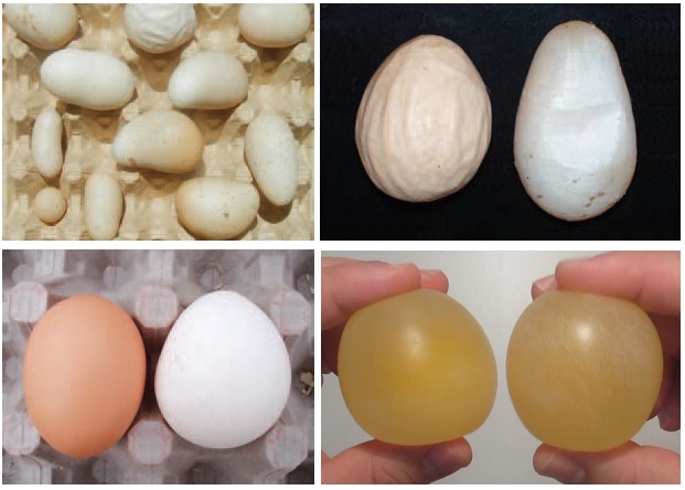 Kỹ thuật Anova Feed] - PHÒNG TRÁNH HỘI CHỨNG GIẢM ĐẺ TRÊN GÀ - ANOVA FEED - Nhà cung cấp thức ăn chăn nuôi hàng đầu Việt Nam