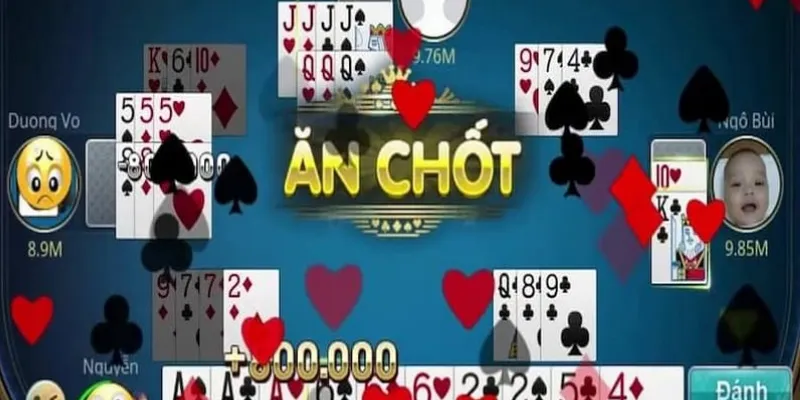 Các loại cây chốt trong phỏm và cách nhận biết