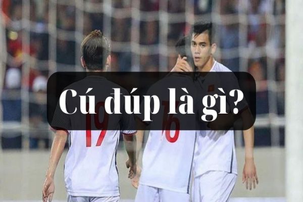 Cú Đúp Là Gì Trong Bóng Đá? Việc Ghi Một Cú Đúp Có Ý Nghĩa Gì?