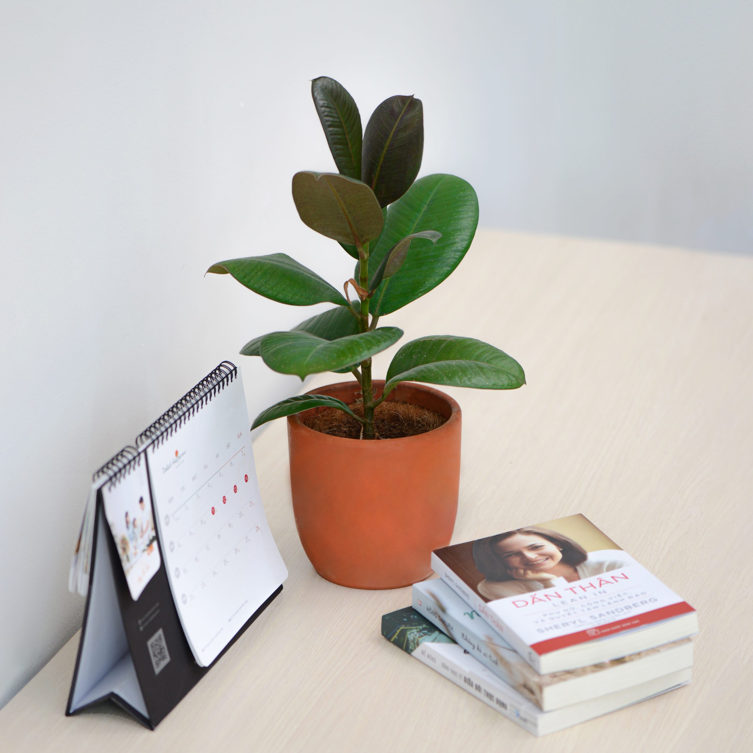 Ứng dụng đa đại phúc trong thiết kế nội thất